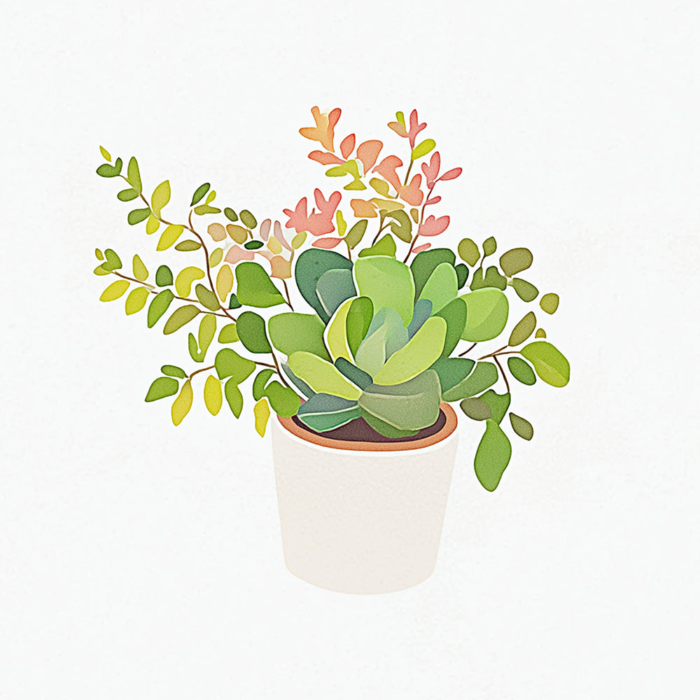 Plantes Succulentes en Pot Plantes Mini Peinture par Numéros