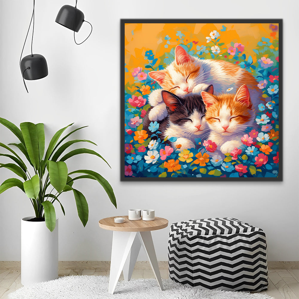 Trois Chatons Peinture par Numéros