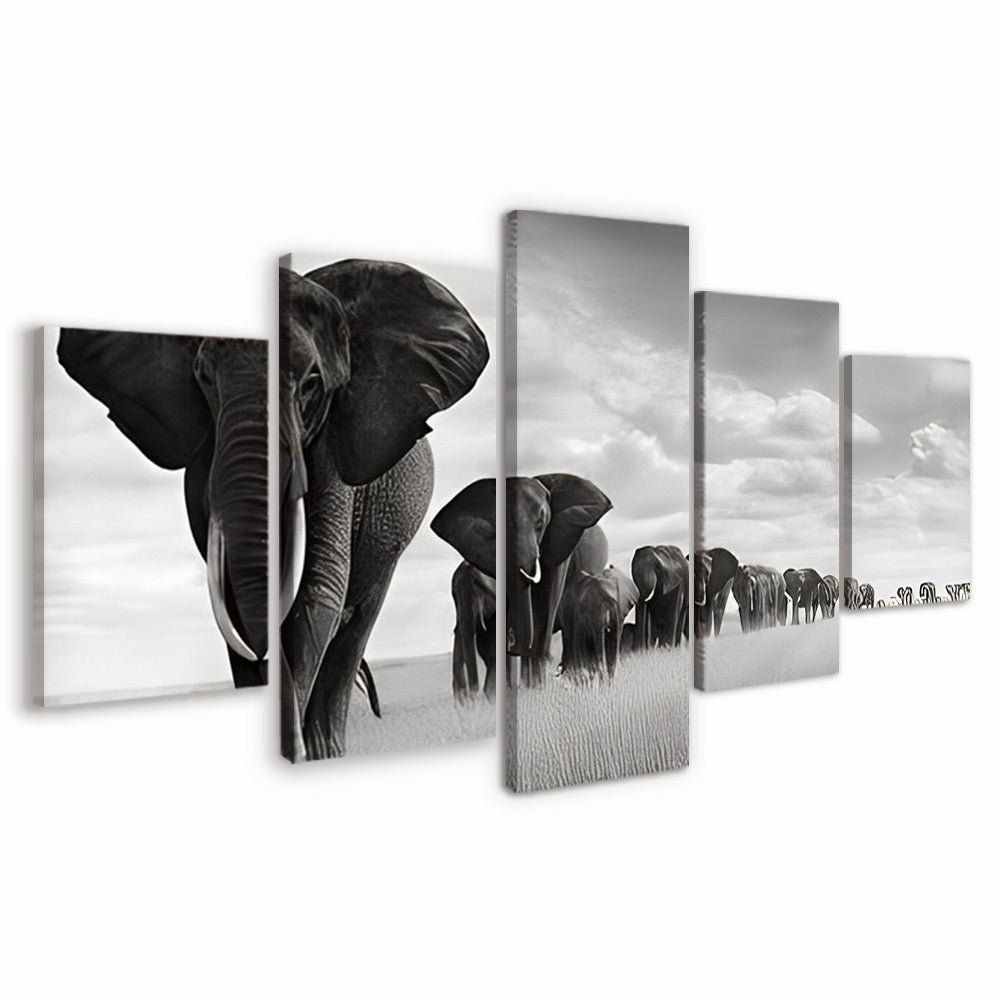 Troupeaux d'Éléphants Blancs et Noirs 5 Partie Peinture par Numéros