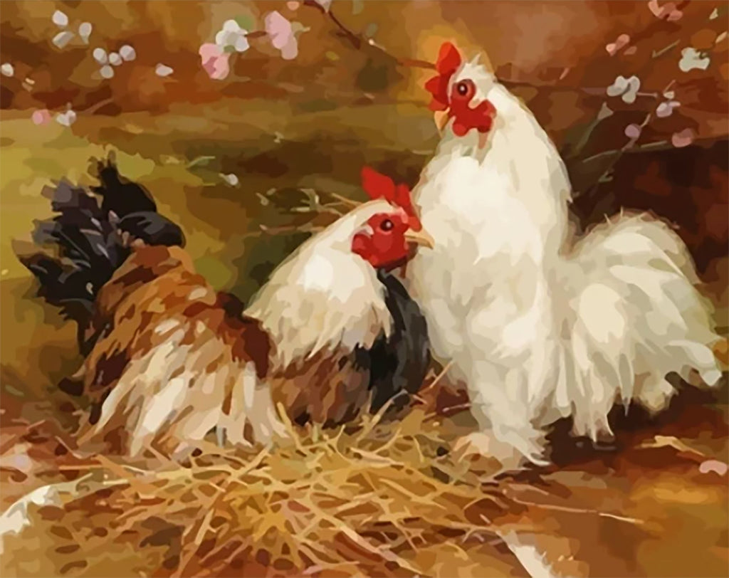 Animal Poulet Peintures Par Numéros PBNANIW45