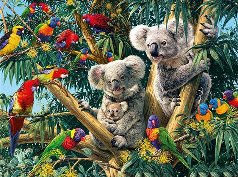 Animal Koala Peintures Par Numéros PBNANIW49
