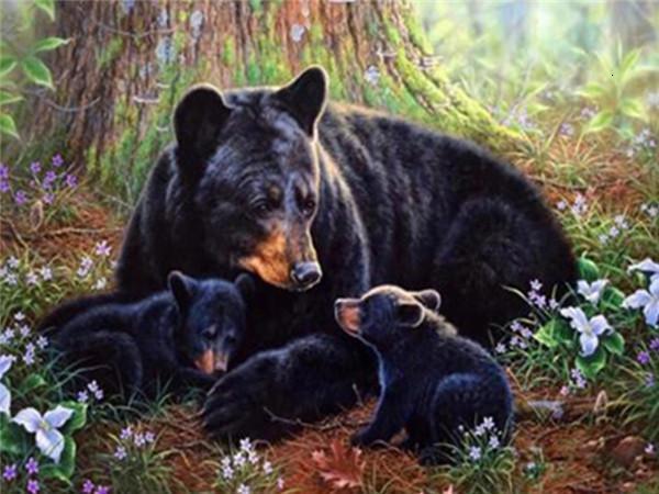 Animal Bear Paint By Numbers Canvas Wall Set PBNBEARW13