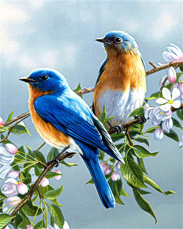 Oiseau Peintures Par Numéros PBNBIRDL019