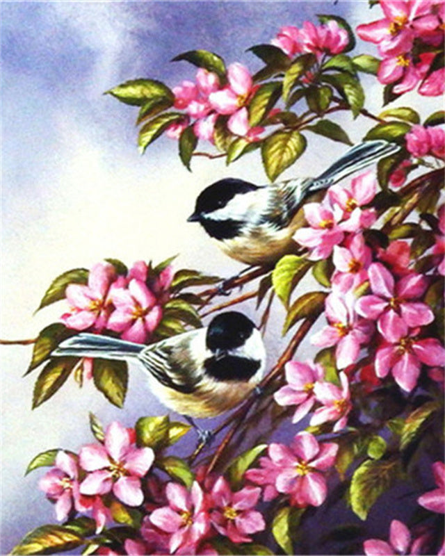 Oiseau Peintures Par Numéros PBNBIRDL031