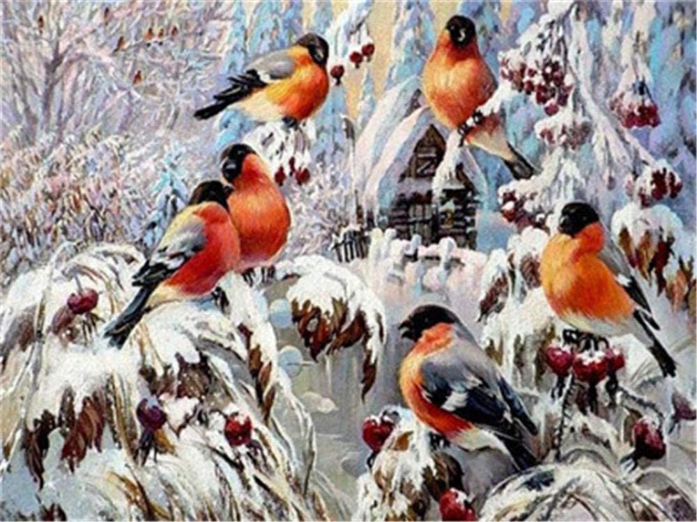 Oiseau Peintures Par Numéros PBNBIRDW003
