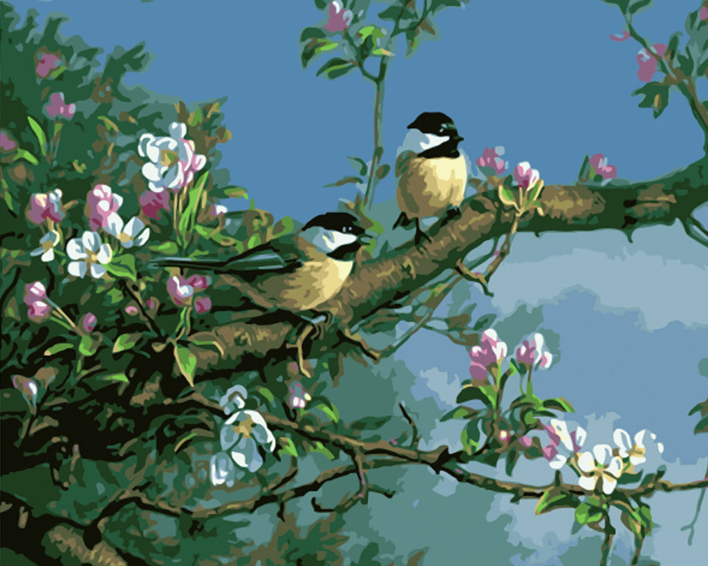 Oiseau Peintures Par Numéros PBNBIRDW006