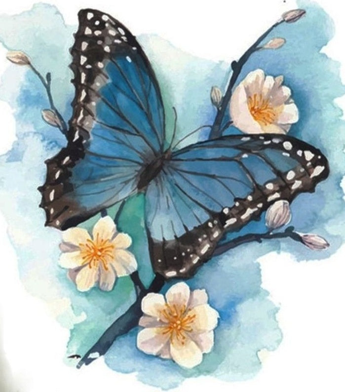 Papillon Peintures Par Numéros PBNBUTL001