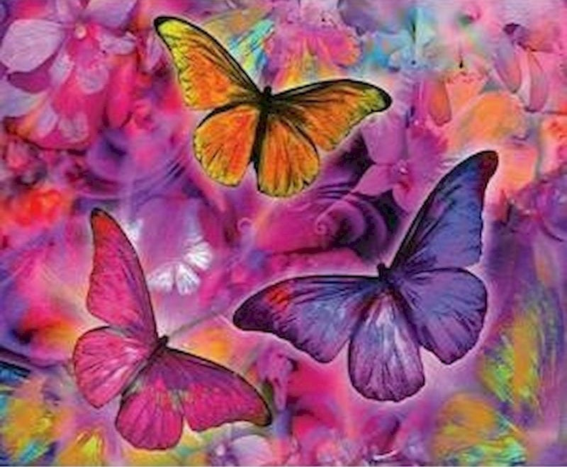 Papillon Peintures Par Numéros PBNBUTW011