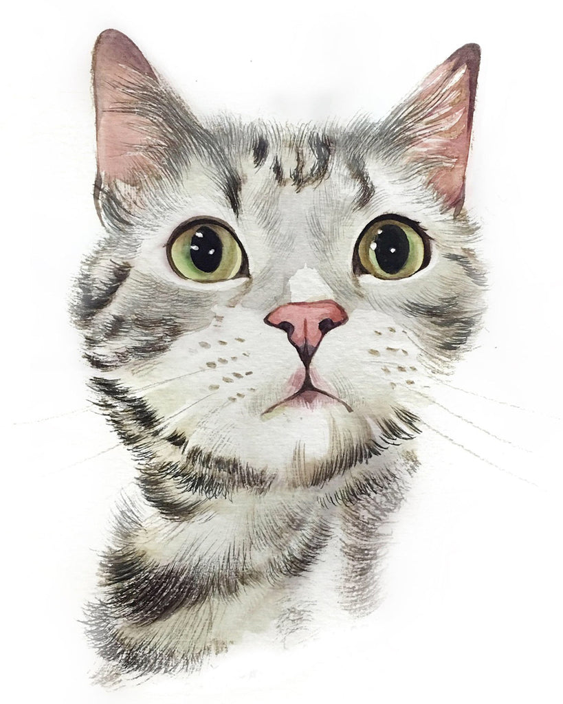 Animal Chat Peintures Par Numéros PBNCATL123