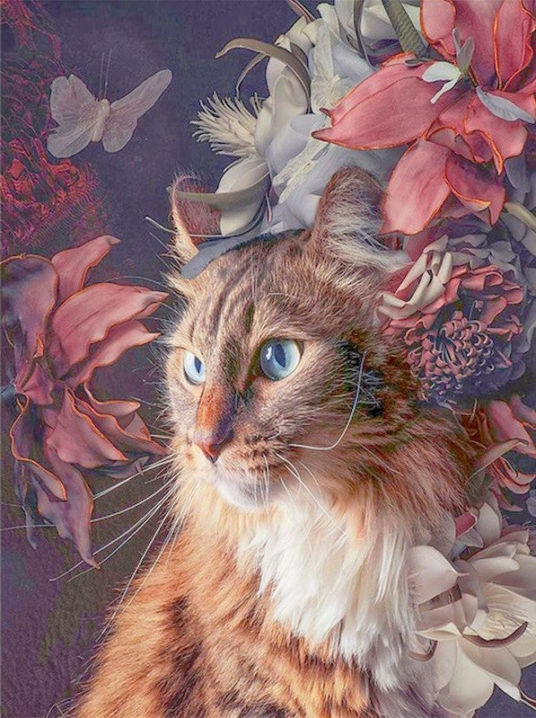 Animal Chat Peintures Par Numéros PBNCATL126