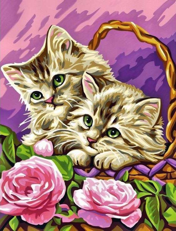 Animal Cat Paint By Numbers Canvas Wall Set PBNCATL29