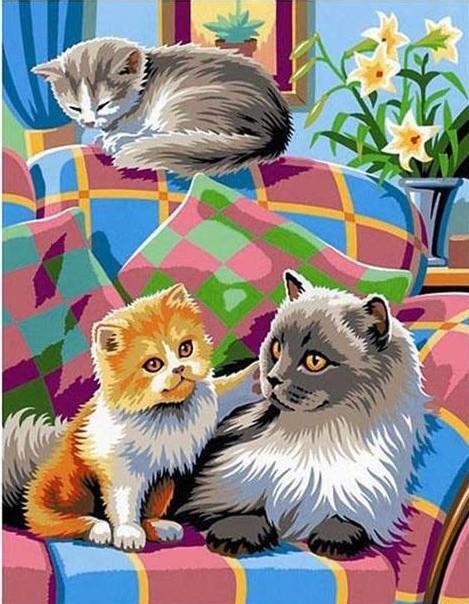 Animal Cat Paint By Numbers Canvas Wall Set PBNCATL31