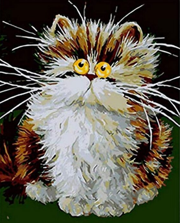 Animal Chat Peintures Par Numéros PBNCATL63