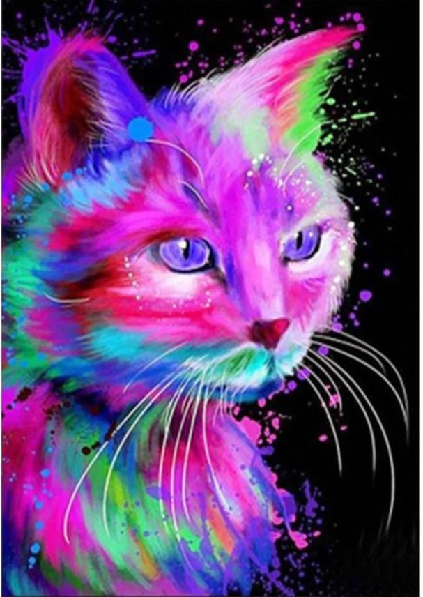 Animal Cat Paint By Numbers Canvas Wall Set PBNCATN17