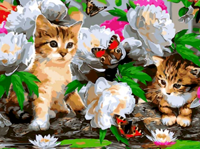 Animal Chat Peintures Par Numéros PBNCATW103