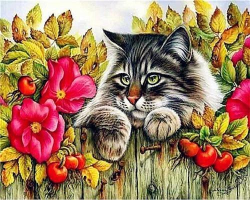 Animal Cat Paint By Numbers Canvas Wall Set PBNCATW20