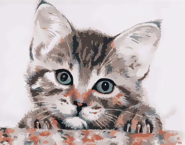 Animal Chat Peintures Par Numéros PBNCATW61