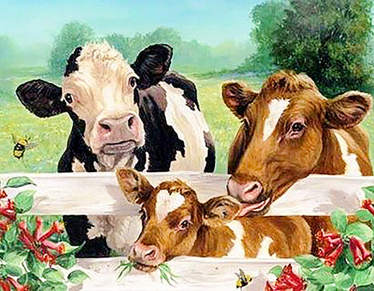 Animal Vache Peintures Par Numéros PBNCOWW04