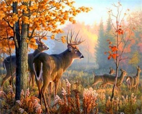 Animal Deer Paint By Numbers Canvas Wall Set PBNDEERW14
