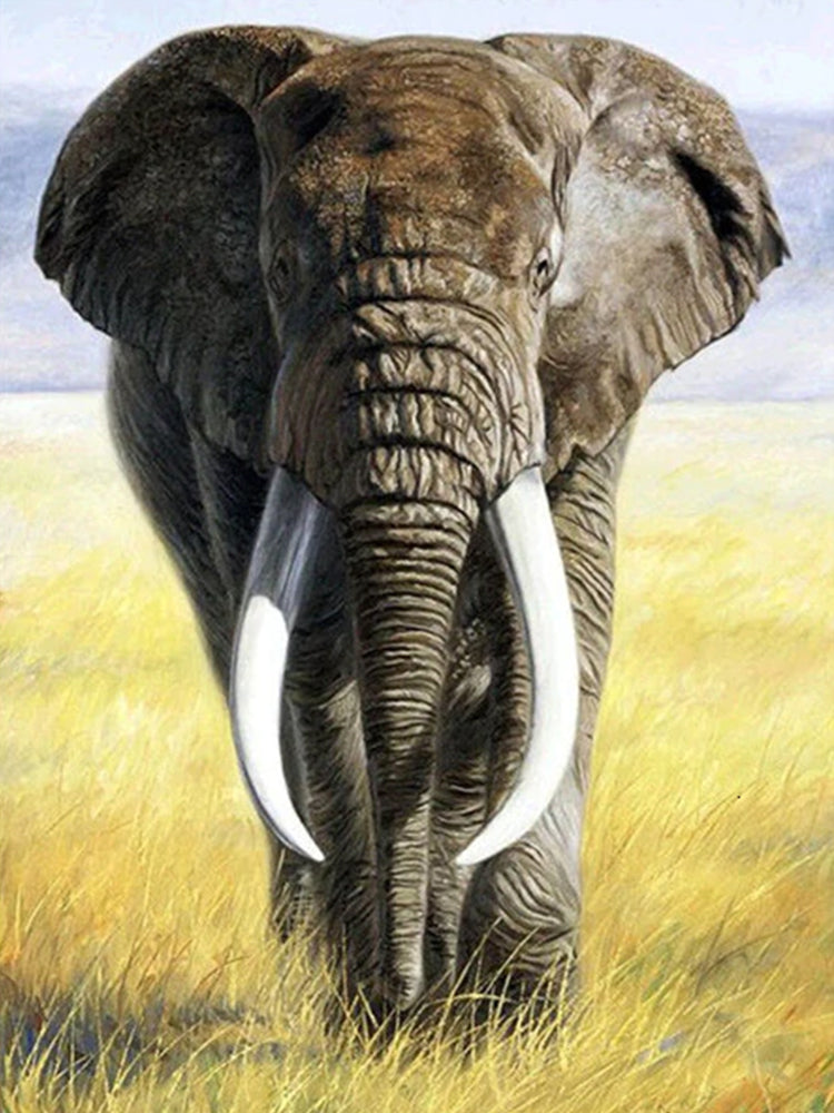 Animal Éléphant Peintures Par Numéros PBNELEL35