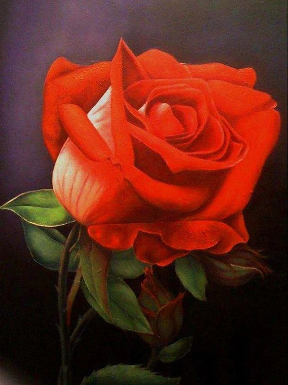 Rose Fleur Peintures Par Numéros PBNFLOL127