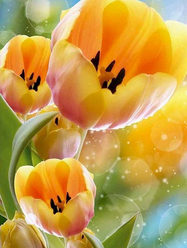 Tulipe Fleur Peintures Par Numéros PBNFLOL129