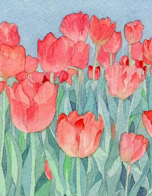 Tulipe Fleur Peintures Par Numéros PBNFLOL132