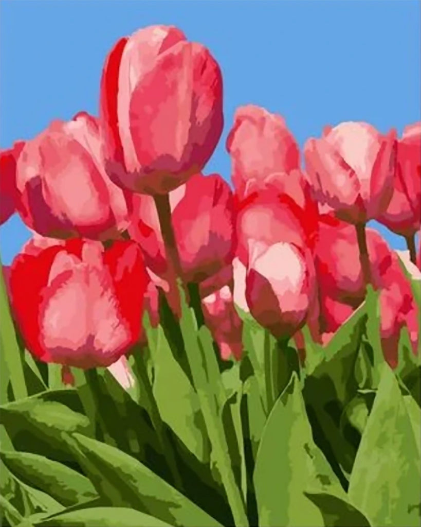 Tulipe Fleur Peintures Par Numéros PBNFLOL188
