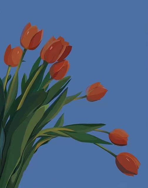 Tulipe Fleur Peintures Par Numéros PBNFLOL208