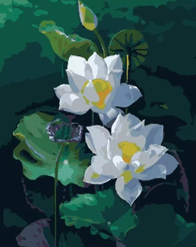 Lotus Fleur Peintures Par Numéros PBNFLOL430