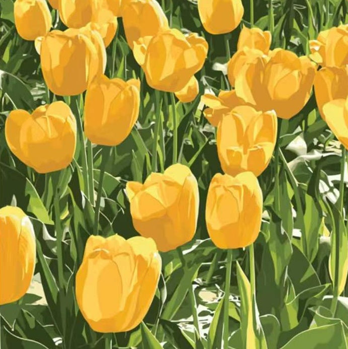 Tulipe Fleur Peintures Par Numéros PBNFLOSQR40