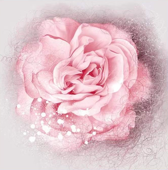 Rose Fleur Peintures Par Numéros PBNFLOSQR60