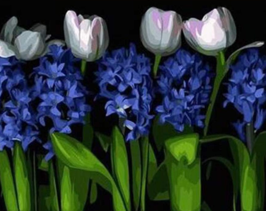 Tulipe Fleur Peintures Par Numéros PBNFLOW238