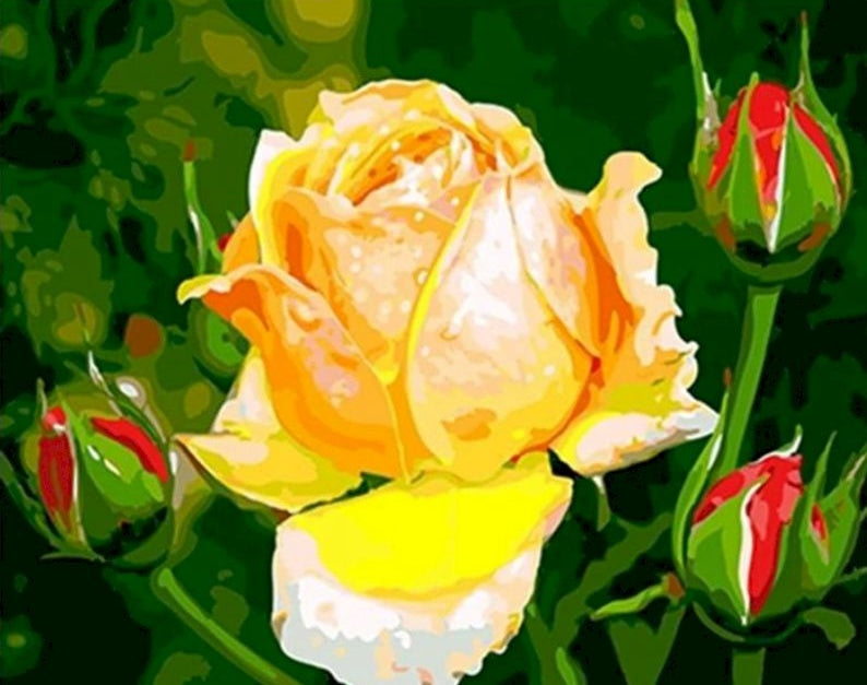 Rose Fleur Peintures Par Numéros PBNFLOW296
