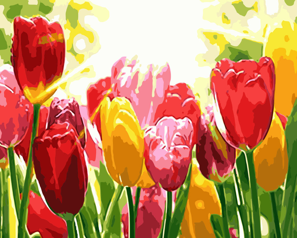 Tulipe Fleur Peintures Par Numéros PBNFLOW317