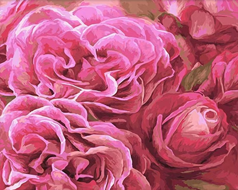 Rose Fleur Peintures Par Numéros PBNFLOW330
