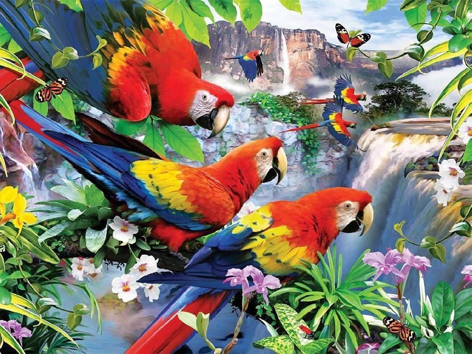 Flying Animal Paint By Numbers Canvas Wall Set PBNFLYW8