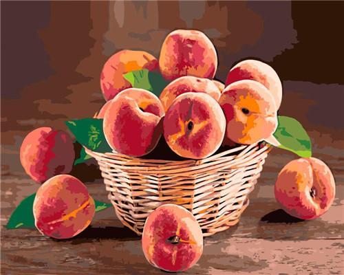 Plant Fruit Paint By Numbers Canvas Wall Set PBNFRUW19