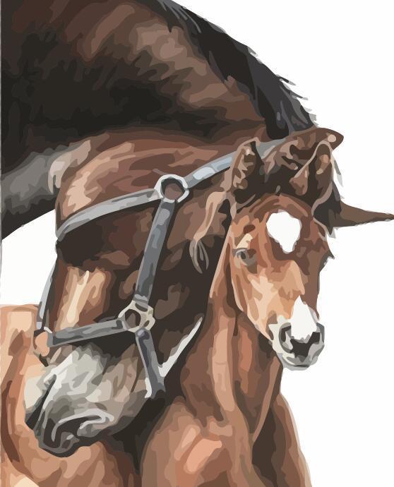 Animal Horse Paint By Numbers Canvas Wall Set PBNHOUL21