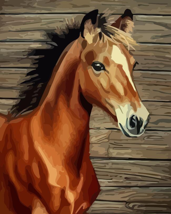 Animal Horse Paint By Numbers Canvas Wall Set PBNHOUL23