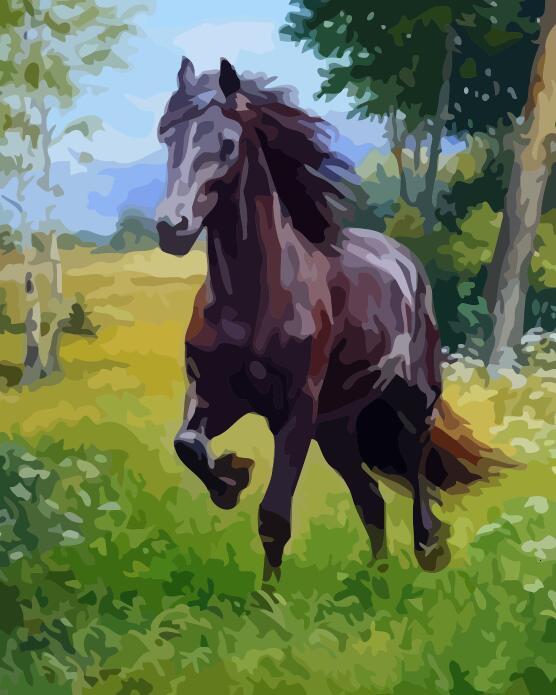 Animal Horse Paint By Numbers Canvas Wall Set PBNHOUL25