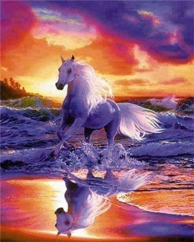 Animal Horse Paint By Numbers Canvas Wall Set PBNHOUL49