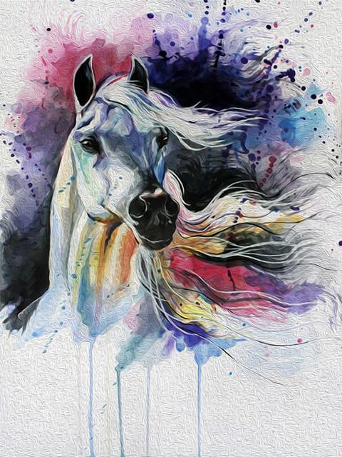 Animal Horse Paint By Numbers Canvas Wall Set PBNHOUL7