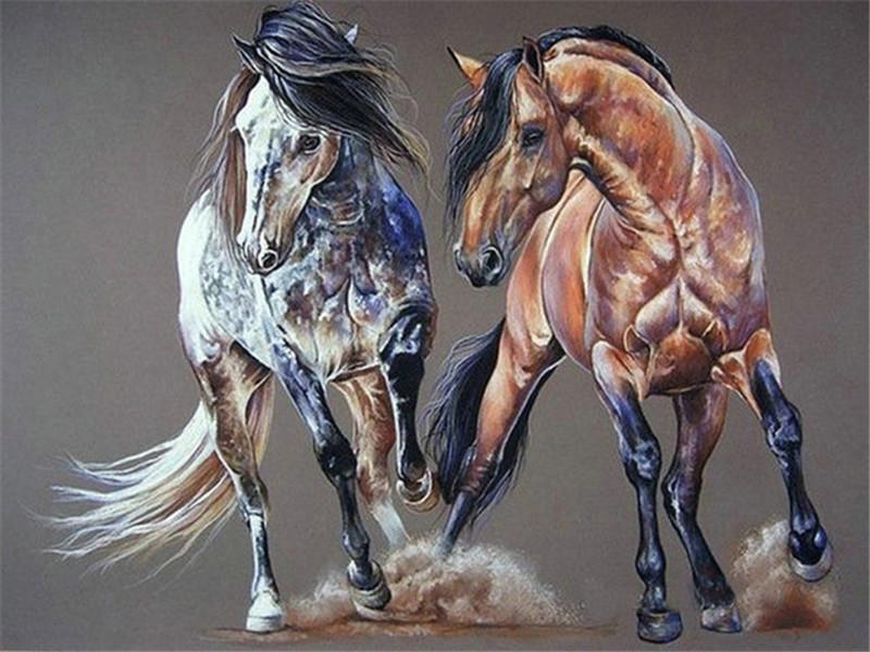 Animal Horse Paint By Numbers Canvas Wall Set PBNHOUW10