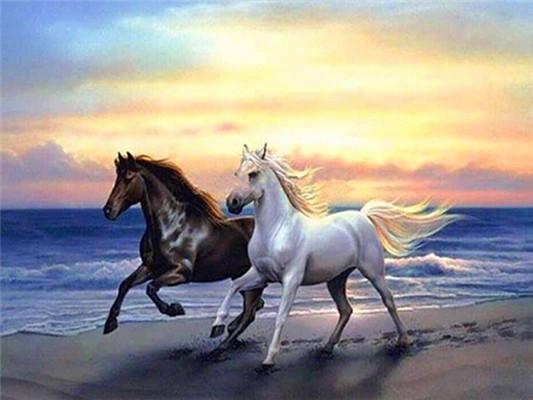 Animal Horse Paint By Numbers Canvas Wall Set PBNHOUW16