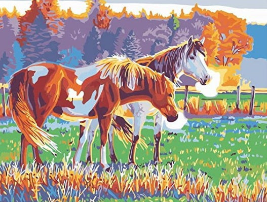 Animal Cheval Peintures Par Numéros PBNHOUW65