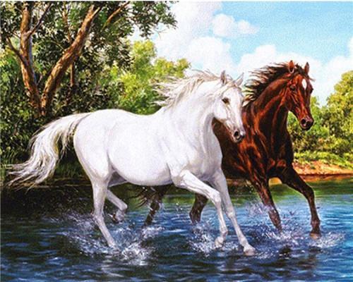 Animal Horse Paint By Numbers Canvas Wall Set PBNHOUW8