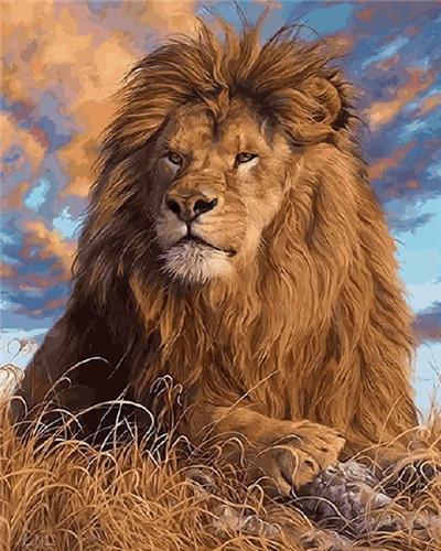 Animal Lion Paint By Numbers Canvas Wall Set PBNLIONL27