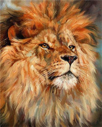 Animal Lion Paint By Numbers Canvas Wall Set PBNLIONL33