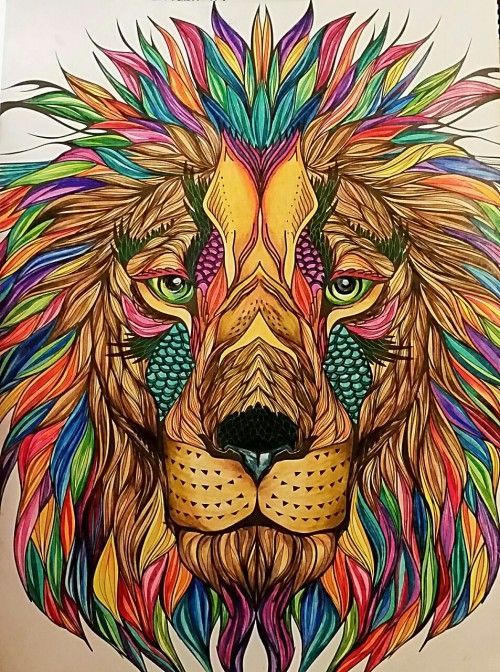 Animal Lion Peintures Par Numéros PBNLIONL42